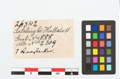 Etikett zu Bronzenadelspitzenschoner (NHMW-PRAE-026342)